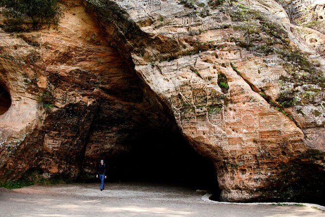 Day trip to Gauja National Park: animals, castles and a cave - Is $178.71 a fair price?