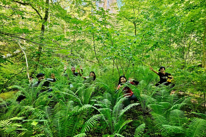 Discover Best Of Gauja National Park In One Day - Krimulda estate and a living historic area