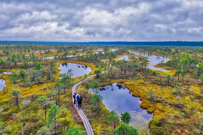 From Riga: Best of Kemeri National Park In One Day - Why Ķemeri makes a smart break from Riga