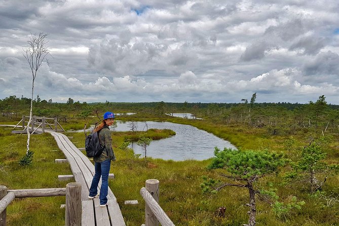 From Riga: Best of Kemeri National Park In One Day - Fresh air at Ragaciems and the Gulf of Riga