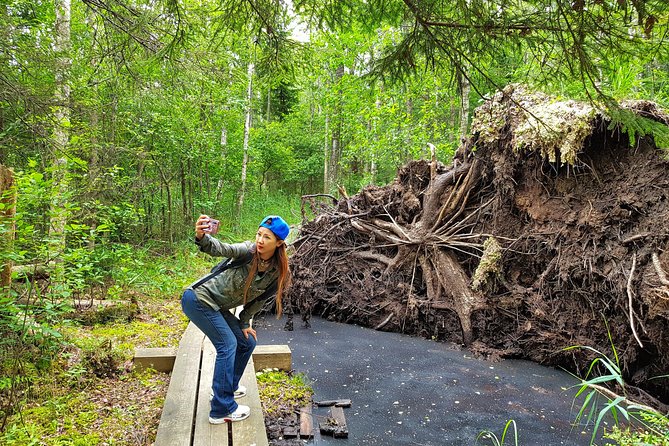 From Riga: Best of Kemeri National Park In One Day - What the small group changes