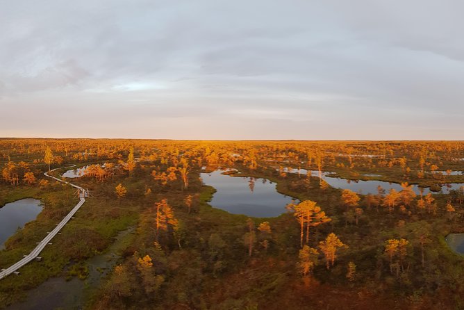 From Riga: Best of Kemeri National Park In One Day - The Latvian picnic and local context