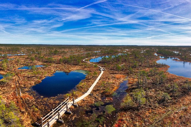 From Riga: Best of Kemeri National Park In One Day - Is $235.33 a fair price?