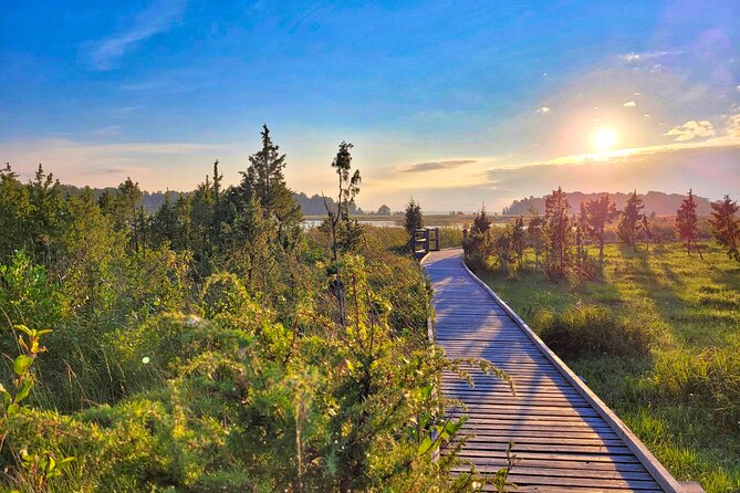 From Riga: Best of Kemeri National Park In One Day - Who will enjoy this day most?