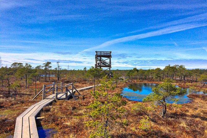 From Riga: Best of Kemeri National Park In One Day - Wet forests and Ķemeri’s sulphur springs