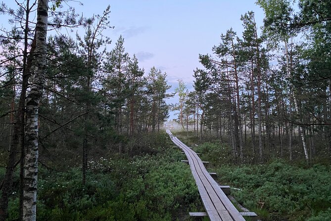 From Riga: Kemeri Bog Boardwalk and Jurmala Seaside - Ķemeri’s former spa town and its fading grandeur