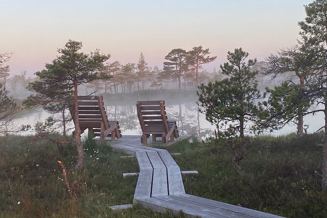 From Riga: Kemeri Bog Boardwalk and Jurmala Seaside - The Dzintari Forest Park tower and concert hall