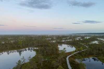 Kemeri Bog Boardwalk and Jurmala Seaside