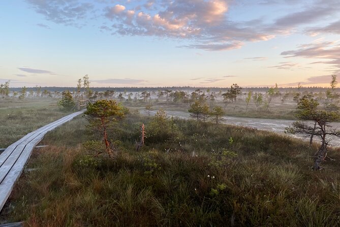 From Riga: Kemeri Bog Boardwalk and Jurmala Seaside - Price, timing, and practical value