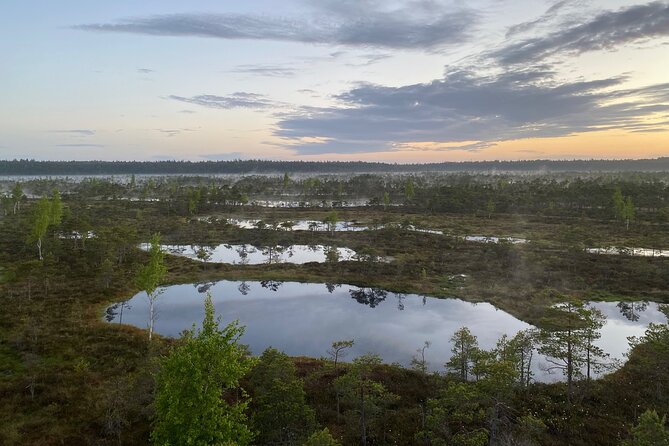 From Riga: Kemeri Bog Boardwalk and Jurmala Seaside - Should you book the Ķemeri and Jūrmala tour?