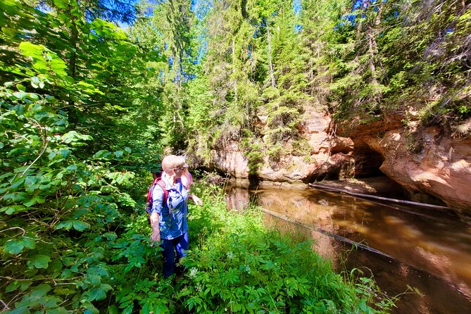 Full Day Gauja National Park Ultimate Hiking & Sightseeing Trip - What the guides add to the day
