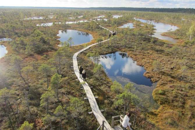 Full-Day Private Trip to Jurmala, Fisherman Villages and Nature Trails from Riga - What the private price really buys you