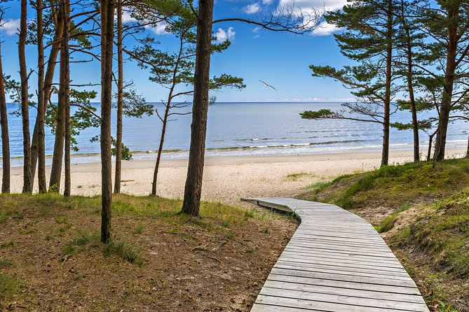Full-Day Private Trip to Jurmala, Fisherman Villages and Nature Trails from Riga - The driver makes or breaks the day
