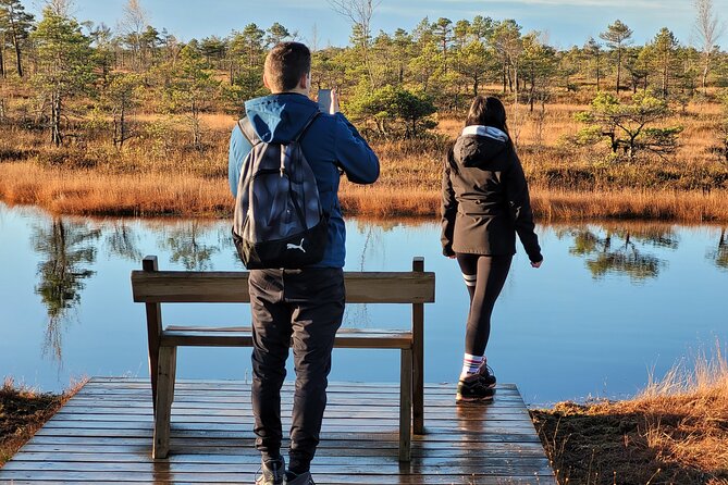 Great Ķemeri Bog and Swamp Forest Hiking Adventure - Why the Great Ķemeri Bog is worth the drive