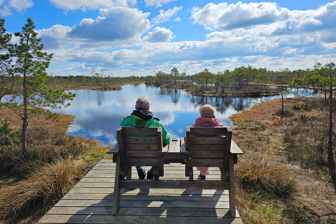 Great Ķemeri Bog and Swamp Forest Hiking Adventure - Choosing the best season for your walk