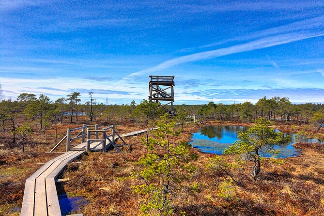 Great Ķemeri Bog and Swamp Forest Hiking Adventure - Who will enjoy this experience most