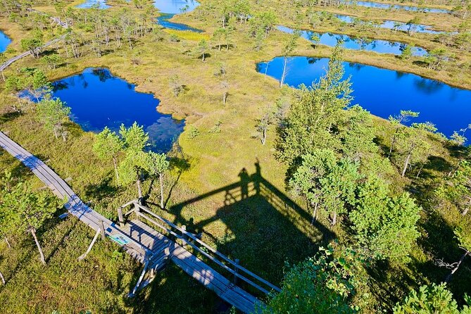 Great Ķemeri Bog and Swamp Forest Hiking Adventure - Walking the 4-kilometer boardwalk