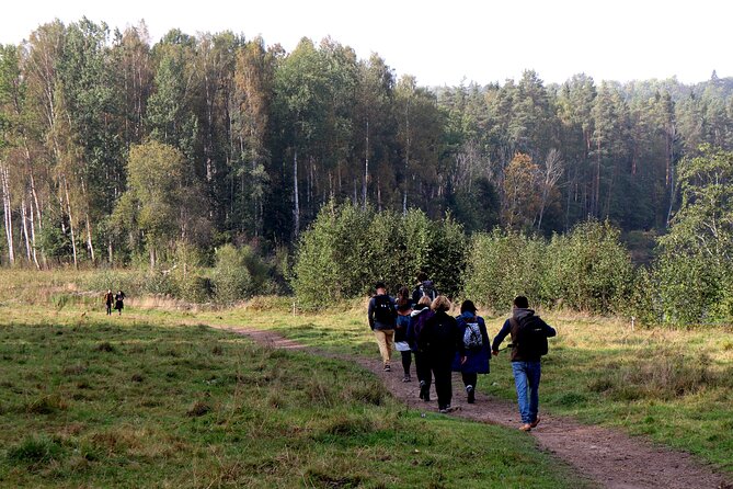 Hike In Gauja National Park - Up And Down The Switzerland Of Latvia - A guide who connects the trail to Latvia