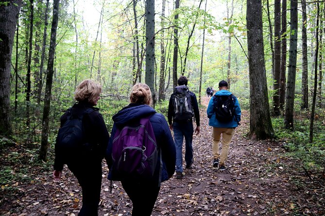 Hike In Gauja National Park - Up And Down The Switzerland Of Latvia - Booking details that matter