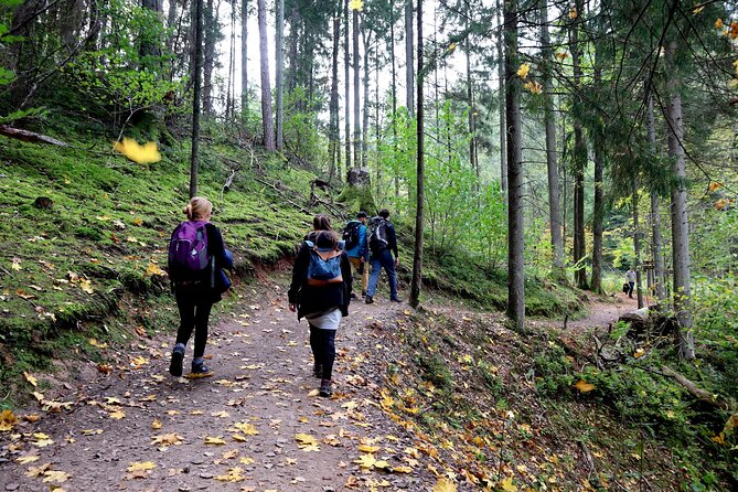 Hiking Adventure in Gauja National Park - 7 Days - Day 3: Sigulda viewpoints and Līgatne’s paper-mill past