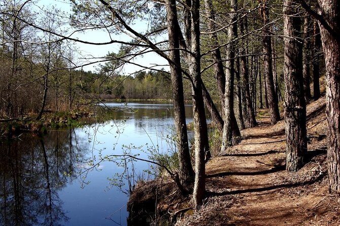 Hiking Adventure in Gauja National Park - 7 Days - Day 2: Riga’s art nouveau streets, market stalls, and Ķemeri