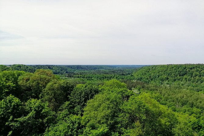 Hiking in Gauja National Park - Gutmanis Cave, the best-known nature stop