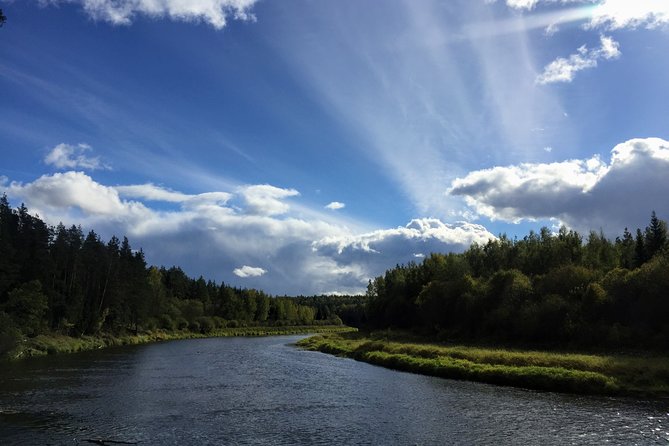 Hiking in Gauja National Park - Adding a cable car, zipline, or castle visit