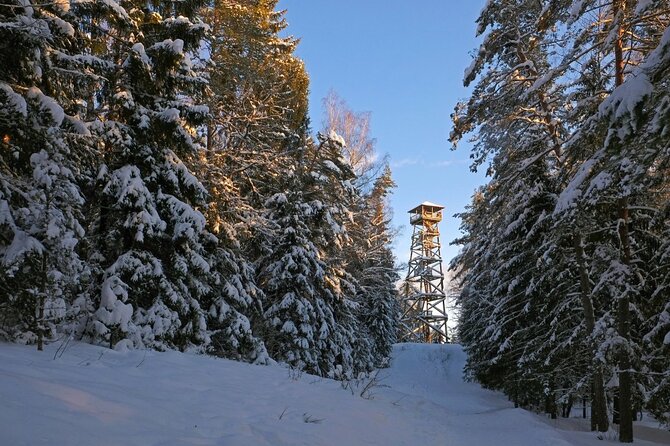 Husky Dog Sledding Tour From Riga - What the $174.15 price really covers