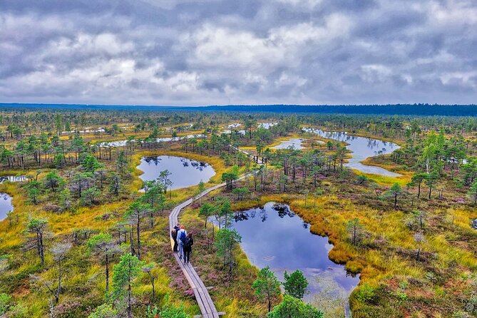 Ķemeri Great Bog Discovery With Optional Sunrise & Jūrmala Visit - Walking the boardwalk through Ķemeri National Park