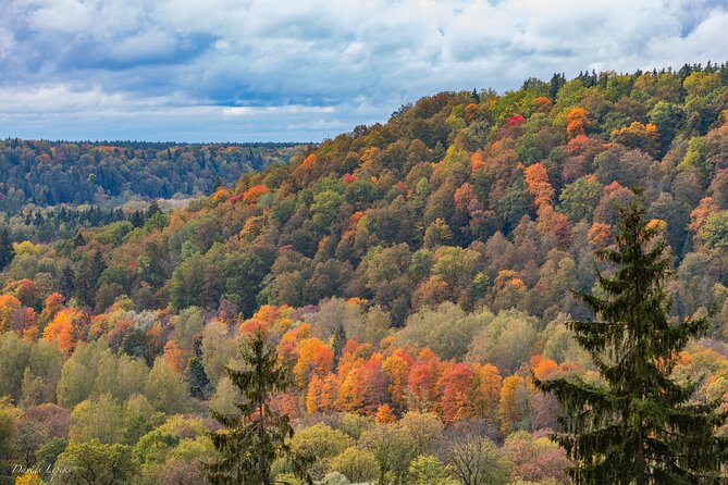 Latvia's Switzerland and Gauja National Park Tour - Key points to know before you book