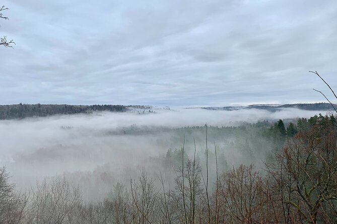 Private Day Tour to Sigulda, Turaida Castle and Soviet Bunker - Walking through Gauja National Park