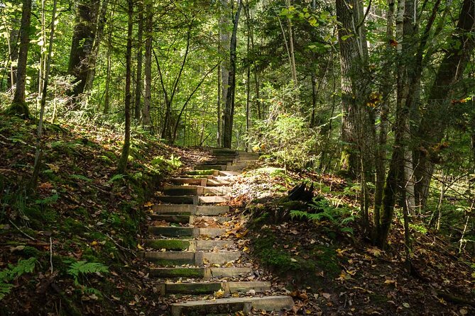 Private Full-Day Hiking Tour in Sigulda and Gauja National Park - Krimulda estate and manor grounds