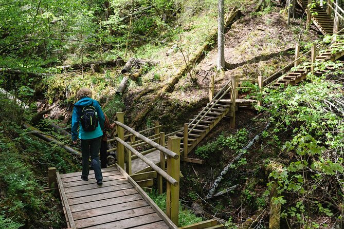 Private Full-Day Hiking Tour in Sigulda and Gauja National Park - Price, group size, and practical value