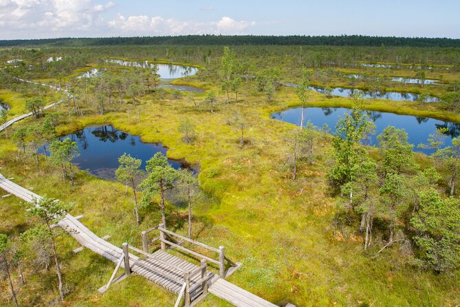 Private Full-Day Trip to Jurmala and Great Kemeri Bog Boardwalk - Price, group size, and the real value