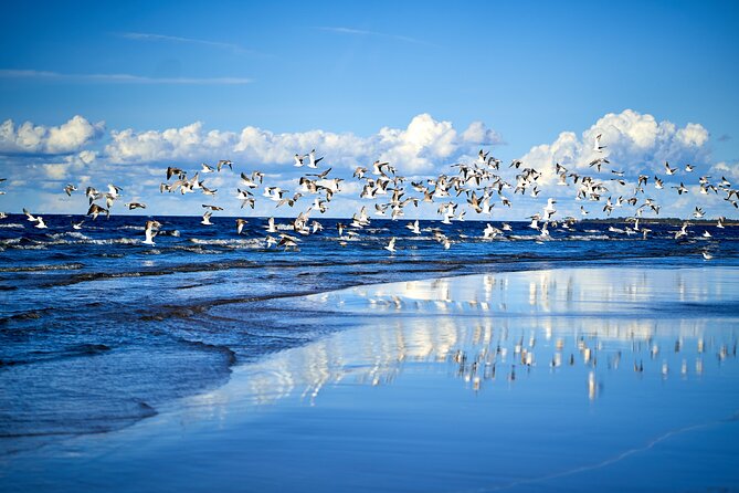 Private Full-Day Trip to Jurmala and Great Kemeri Bog Boardwalk - Should you book the Jurmala and Kemeri day trip?