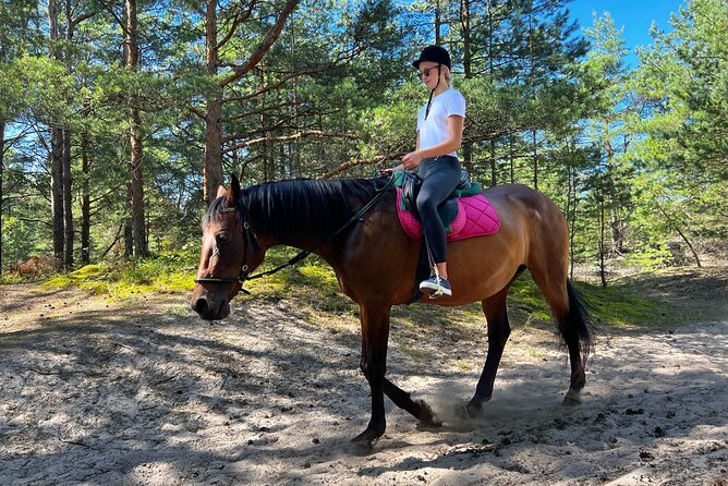 Private Horse Riding on the Beach in Riga - Reaching the Baltic beach
