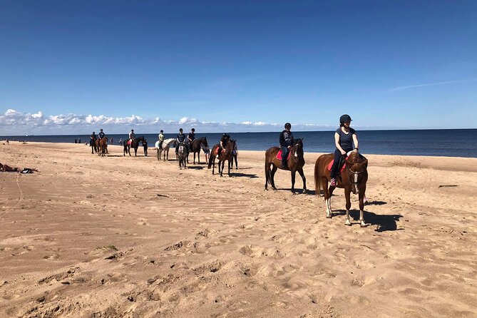 Private Horse Riding on the Beach in Riga - Meeting the horses and getting comfortable