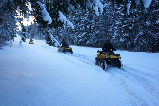Private Snowmobile or ATV Safari with Riga Black Balsam Tasting - What the feedback tells you
