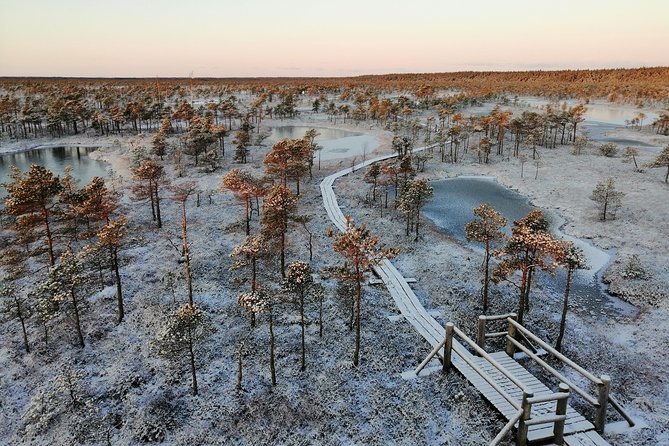 Sunrise at Kemeri National park + Jurmala - Why Kemeri sunrise is worth the early alarm