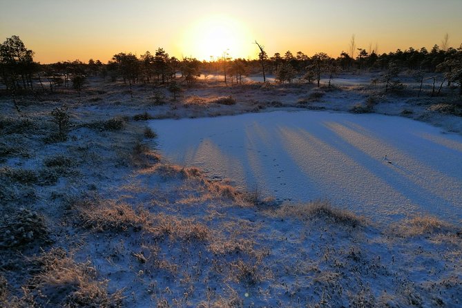 Sunrise at Kemeri National park + Jurmala - What the $131.81 price really covers