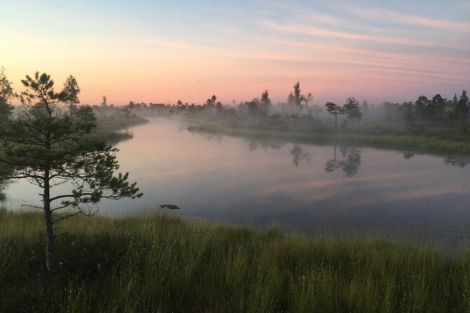 Sunrise at Kemeri National Park - Small Group - Leaving Riga before sunrise