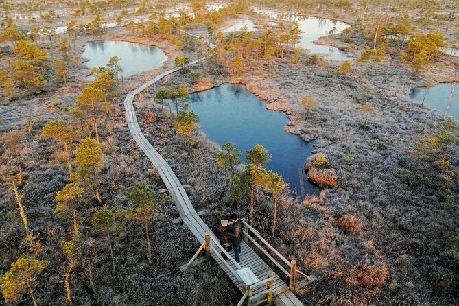 Sunrise at Kemeri National Park - Small Group - The guide and the private-tour feel