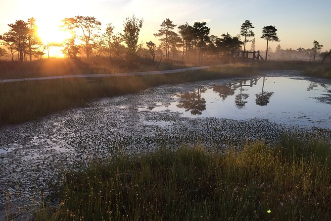 Sunrise at Kemeri National Park - Small Group - What the $57.67 price really covers