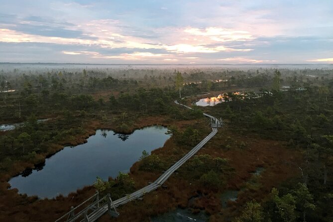 Sunrise at Kemeri National Park - Small Group - Who will enjoy this morning most