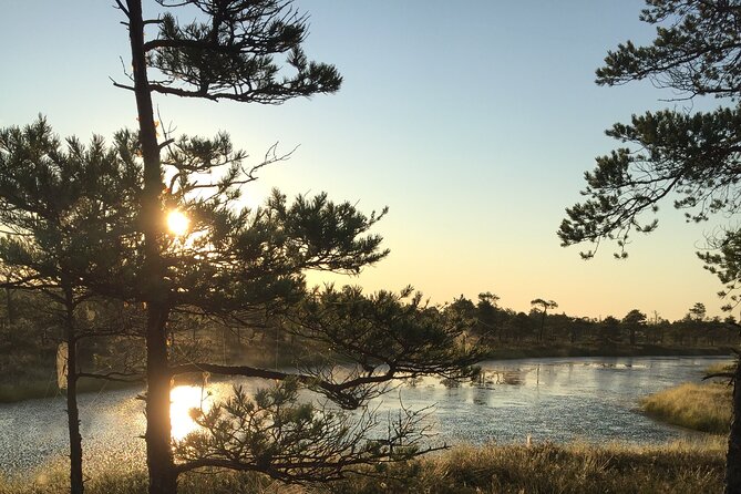 Sunrise at Kemeri National Park - Small Group - Weather, cancellations, and what to plan