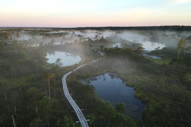 Sunrise at Kemeri National Park - Small Group - How this compares with visiting on your own