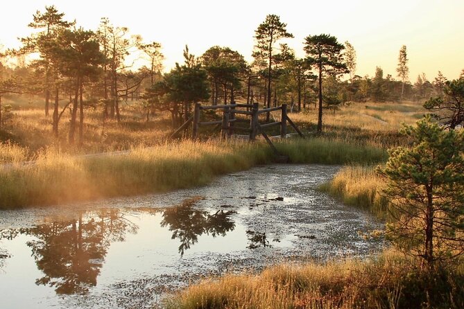 Sunrise at Kemeri National Park - Small Group - Walking the Great Kemeri Bog Boardwalk