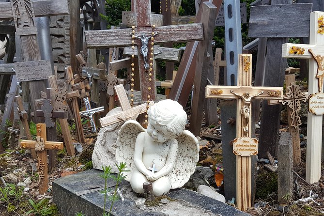 Tour from Riga - Vilnius via Bauska, Rundale, The Hill of Crosses - The vehicle, luggage, and group size