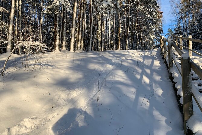 Ultimate Husky dog sledding experience in Latvia - Private tour from Riga - When to book and what can go wrong